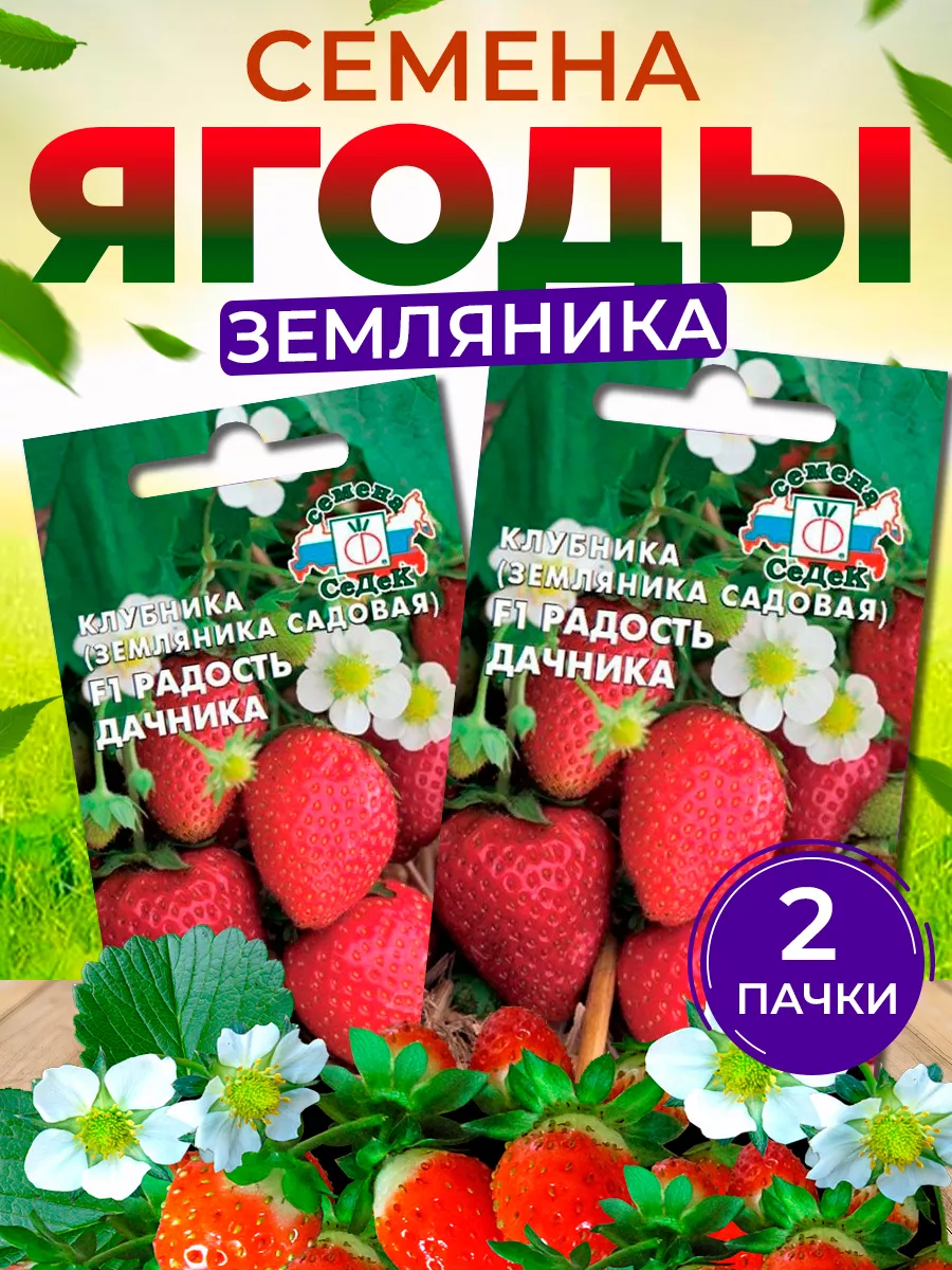 Семена клубники Радость Дачника СеДек купить по цене 262 ₽ в  интернет-магазине Wildberries | 100810579