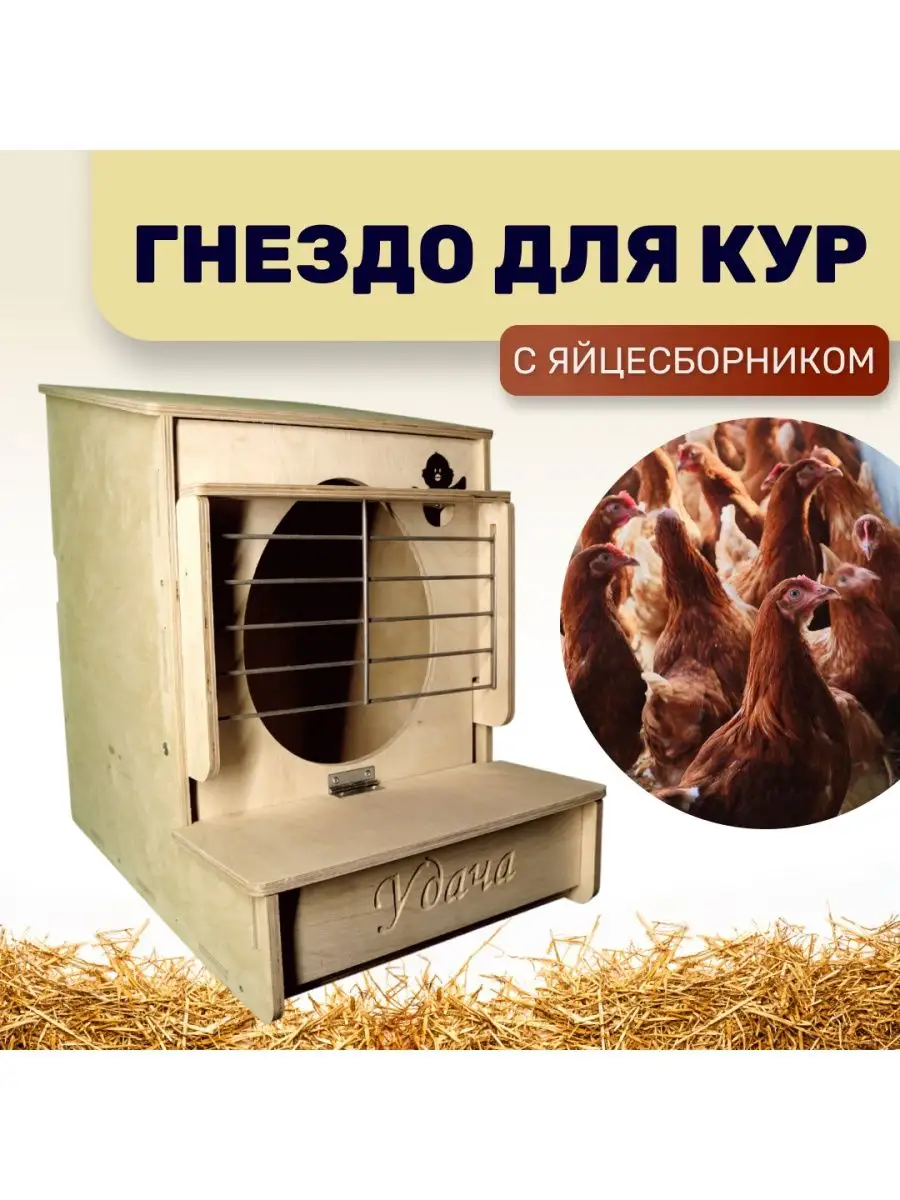 Гнезда для кур-несушек своими руками: как правильно сделать?