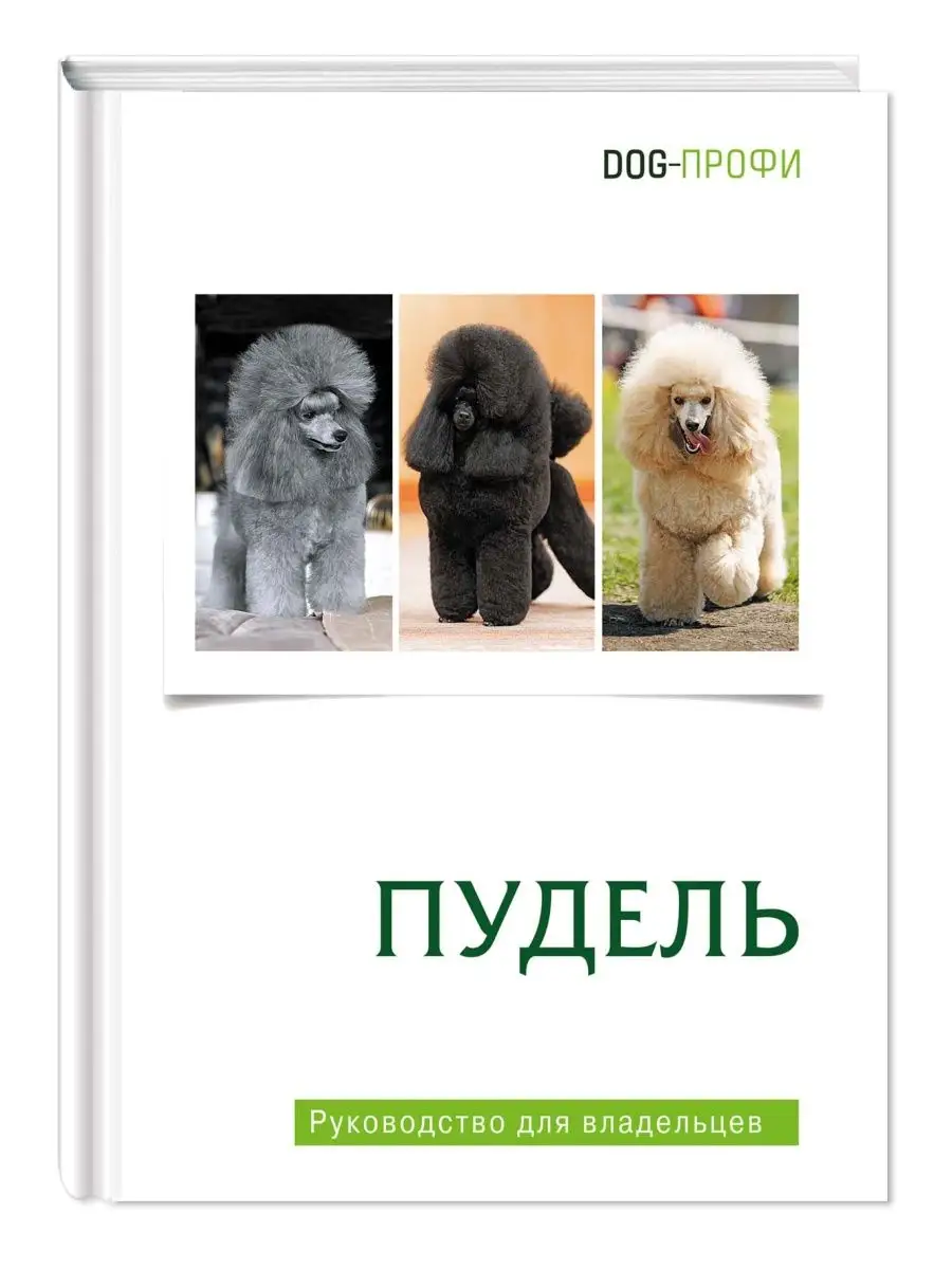 Книга про собак породы Пудель DOG-ПРОФИ купить по цене 45,79 р. в  интернет-магазине Wildberries в Беларуси | 101704410